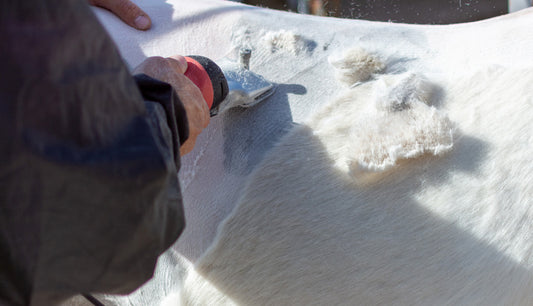 Tips on Clipping your Hairy Pony