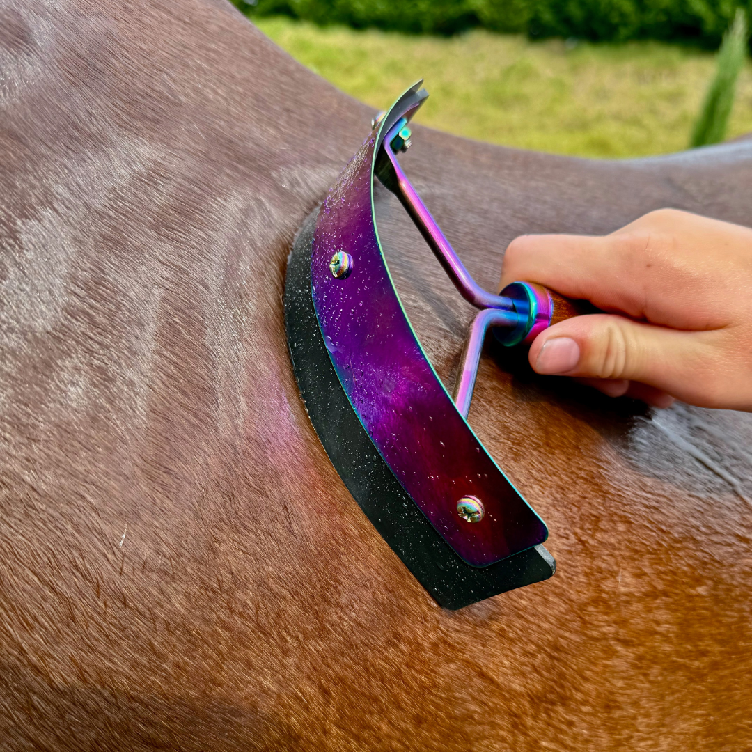 Rainbow Mini Sweat Scraper