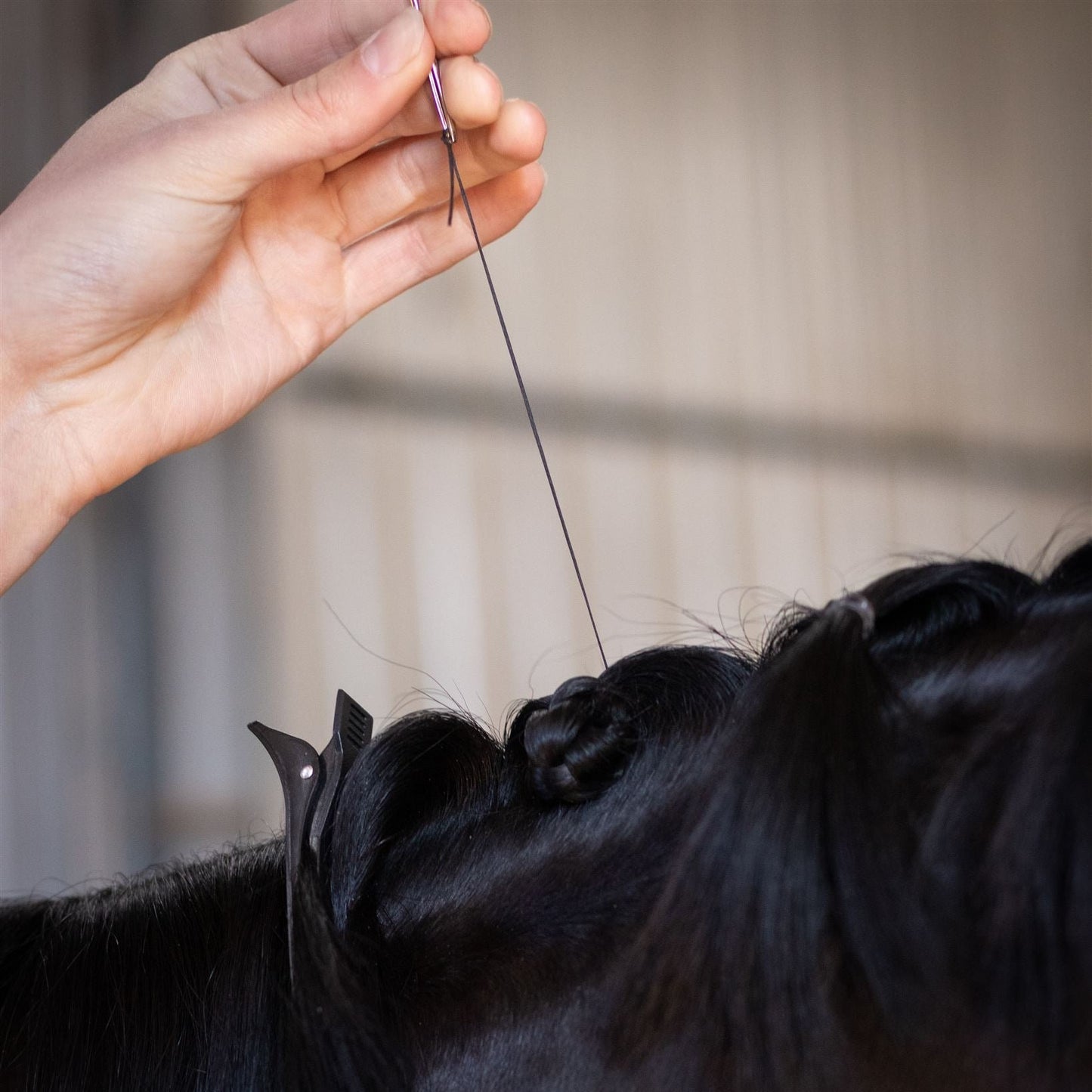 Stainless Steel Horse Plaiting Needles - Pack of 2