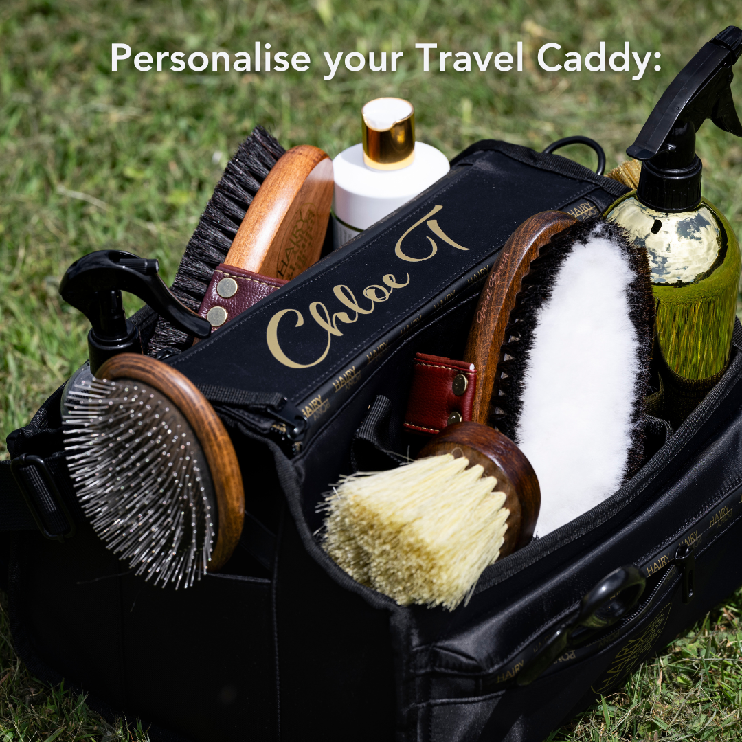 Travel Caddy